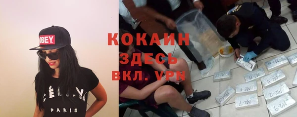 прущие грибы Красноперекопск