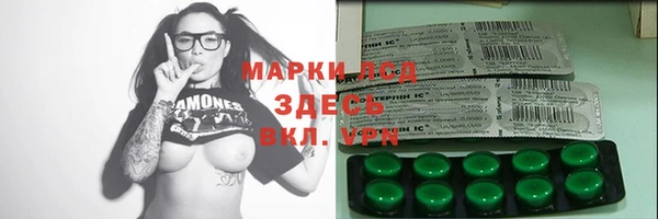 прущие грибы Красноперекопск
