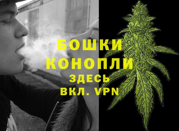 прущие грибы Красноперекопск
