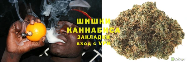прущие грибы Красноперекопск